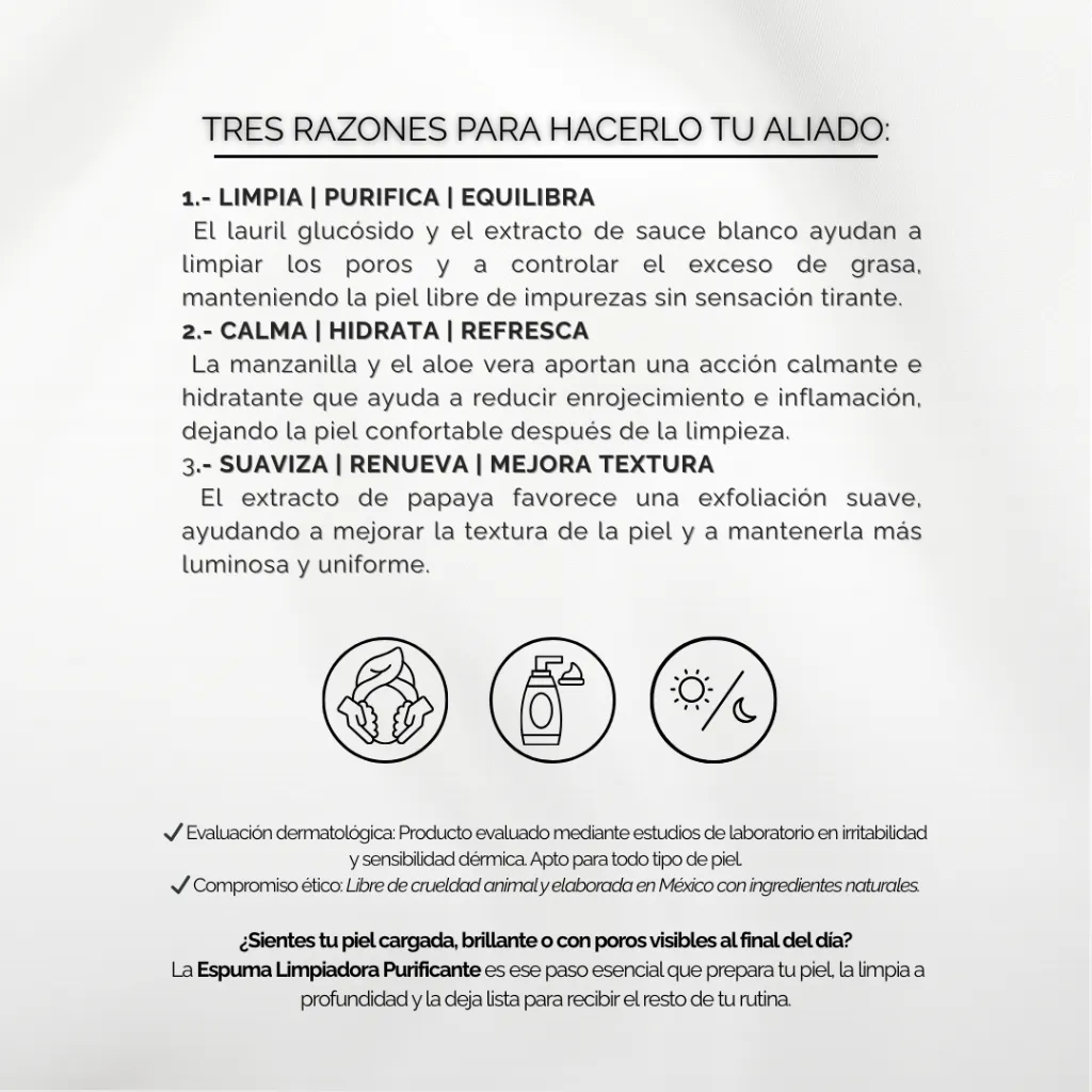 INGREDIENTES (44).webp