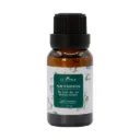 Aceite Esencial Árbol de Té 